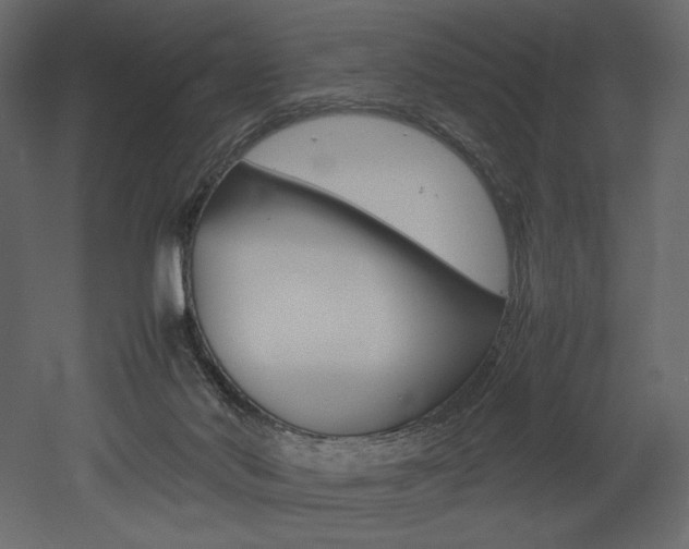 X0000053010022200507081033