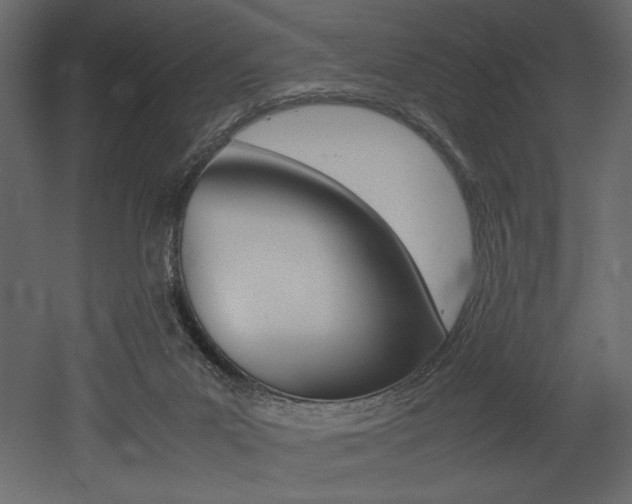 X0000053010023200507081033