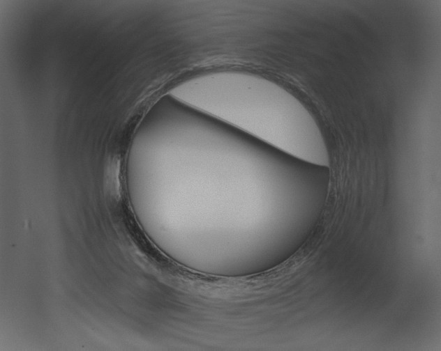 X0000053010024200507081033