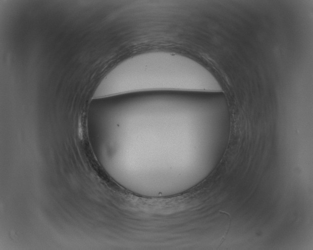 X0000053010026200507081033