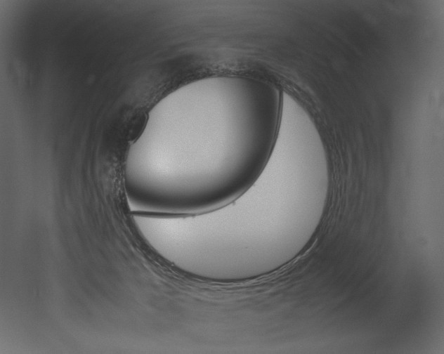 X0000053010029200507081033