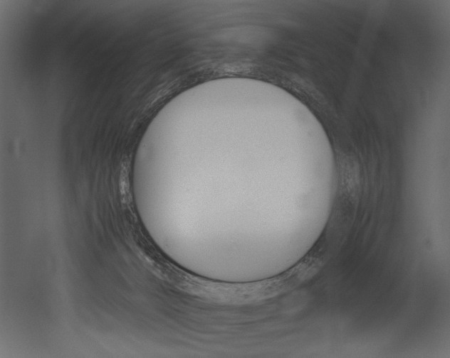 X0000053010032200507081033