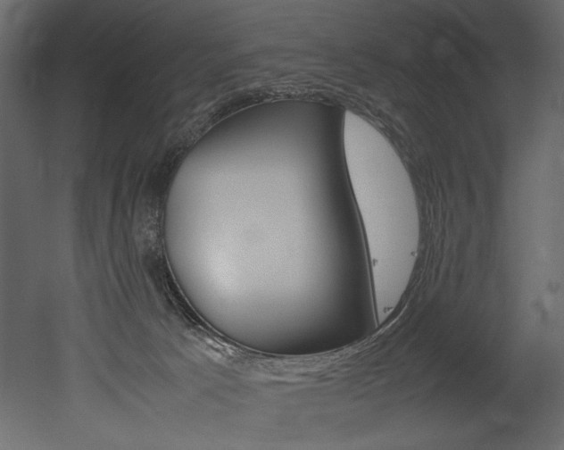 X0000053010033200507081033