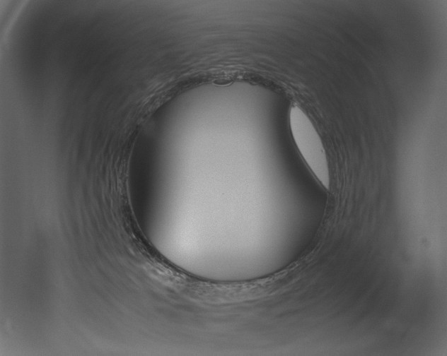 X0000053010037200507081033