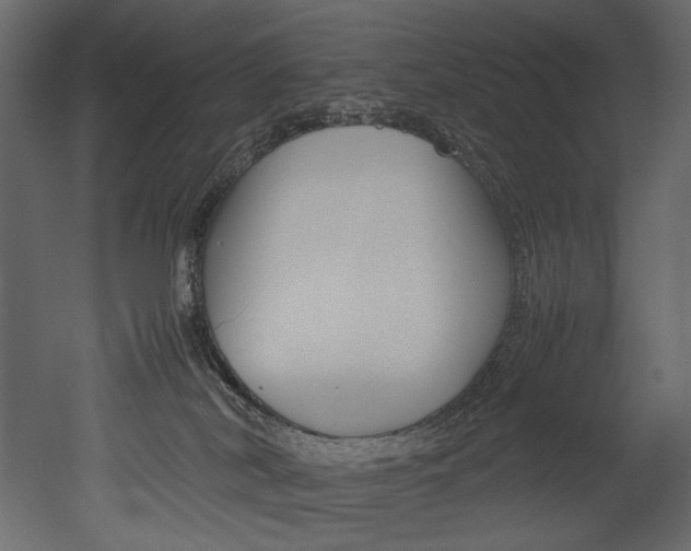 X0000053010038200507081033