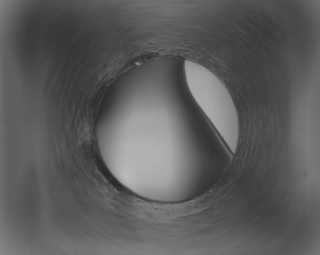 X0000053010039200507081033