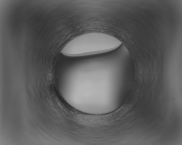 X0000053010040200507081033
