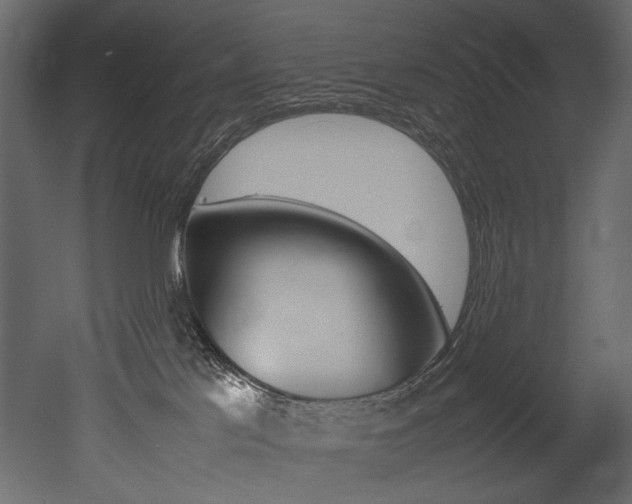 X0000053010041200507081033