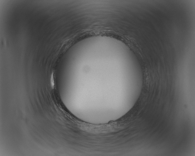 X0000053010042200507081033