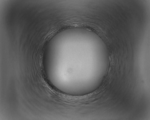 X0000053010043200507081033