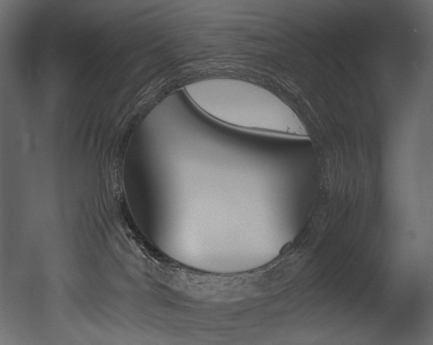 X0000053010044200507081033