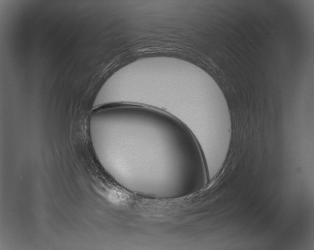 X0000053010045200507081033