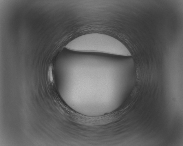 X0000053010046200507081033