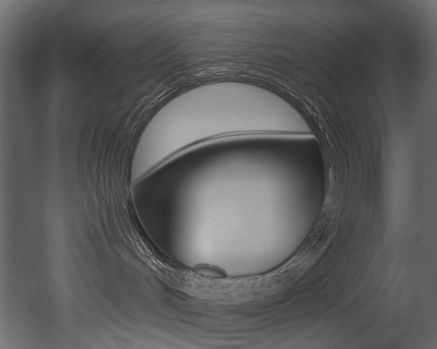 X0000053010048200507081033