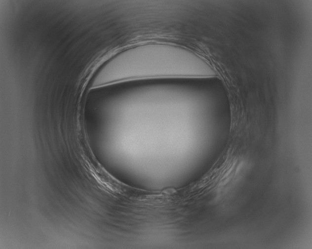 X0000053010050200507081032
