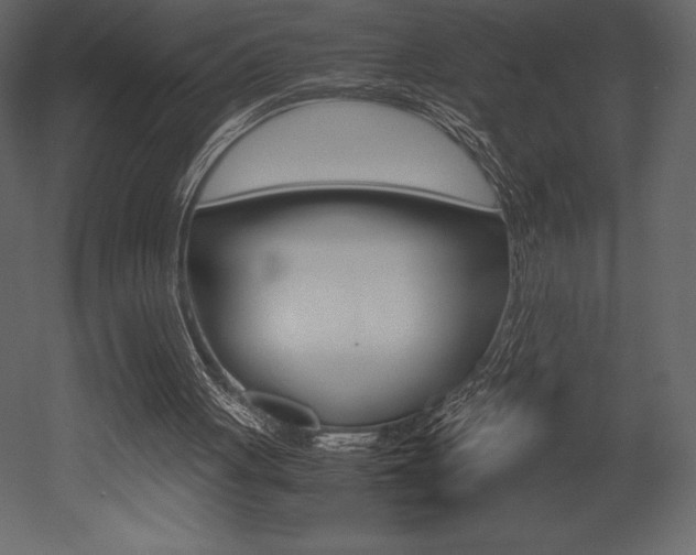 X0000053010051200507081032