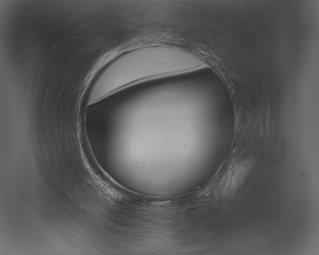 X0000053010054200507081032