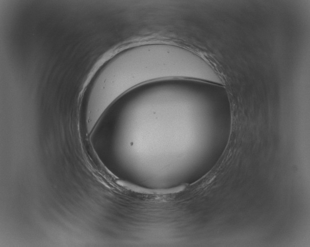 X0000053010056200507081032