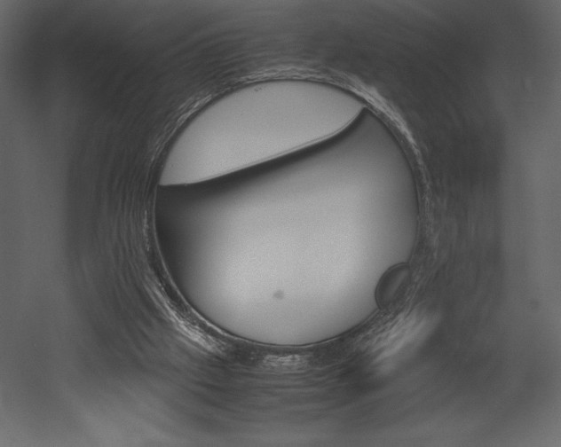 X0000053010057200507081032