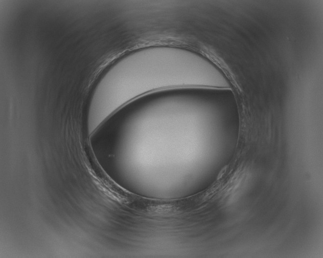 X0000053010058200507081032