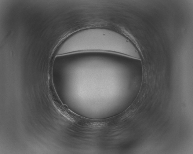 X0000053010059200507081032