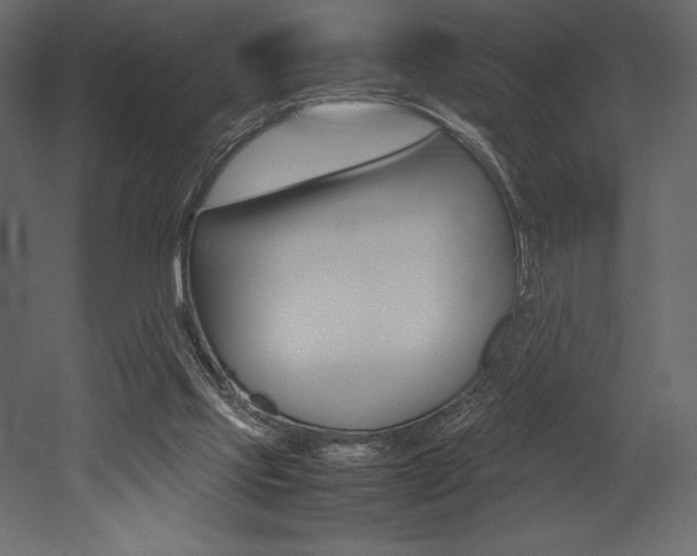 X0000053010061200507081032