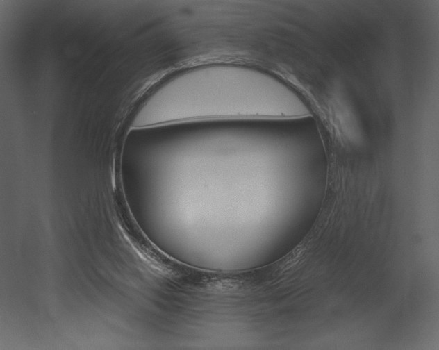 X0000053010062200507081032
