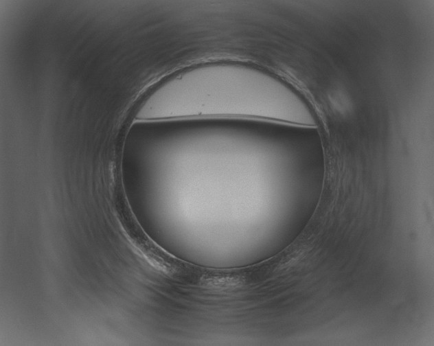 X0000053010063200507081032