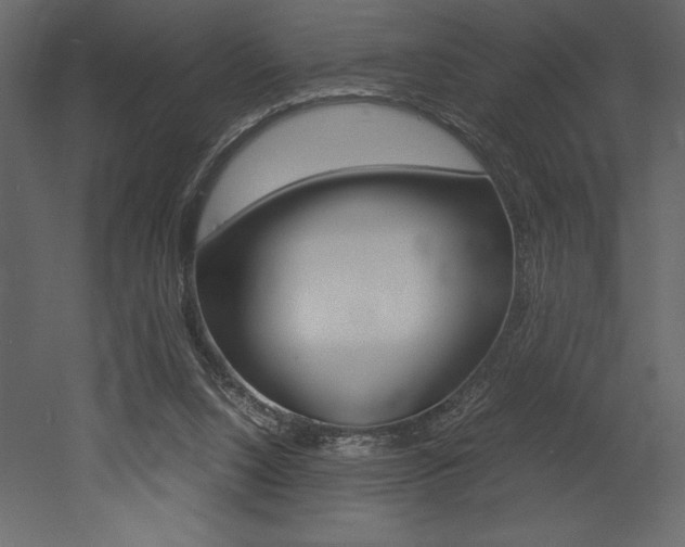 X0000053010064200507081032