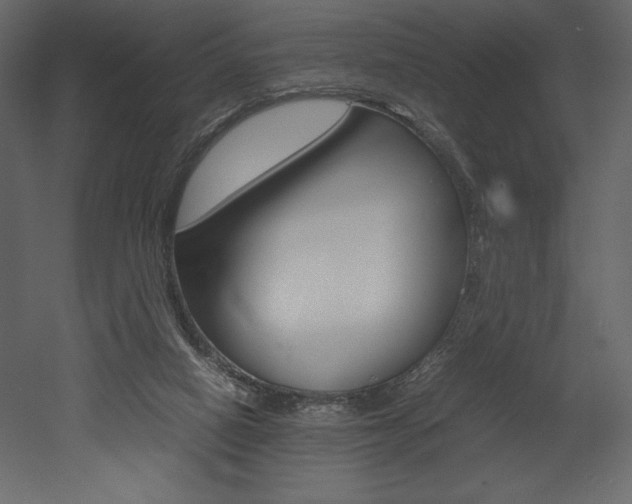 X0000053010066200507081032