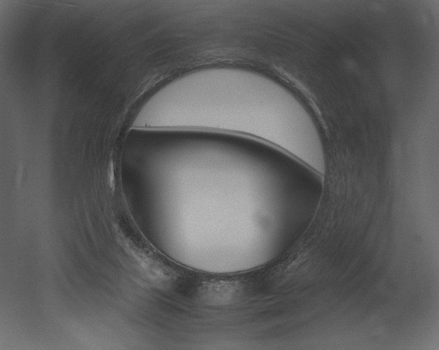 X0000053010067200507081032