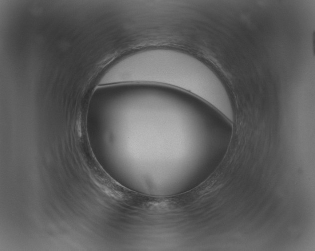 X0000053010068200507081032