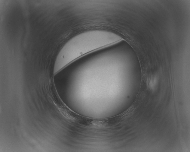 X0000053010070200507081032
