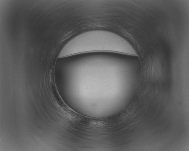 X0000053010071200507081032
