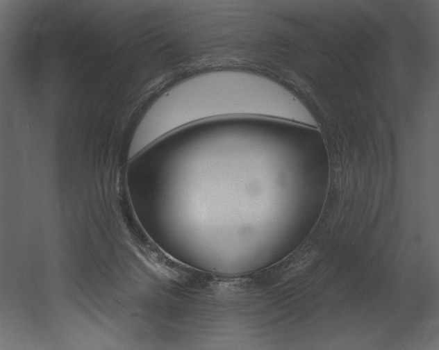 X0000053010072200507081032