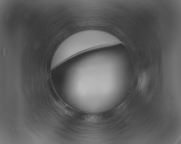 X0000053010074200507081032