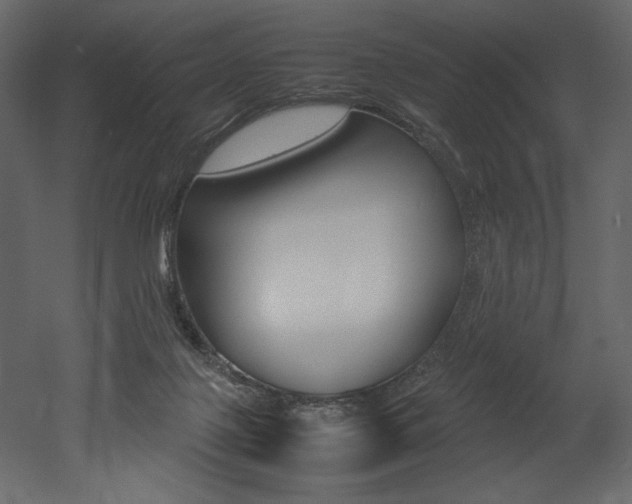 X0000053010075200507081032