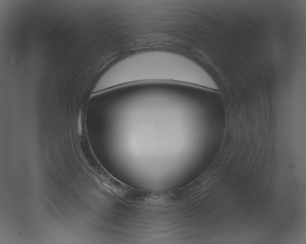 X0000053010076200507081032