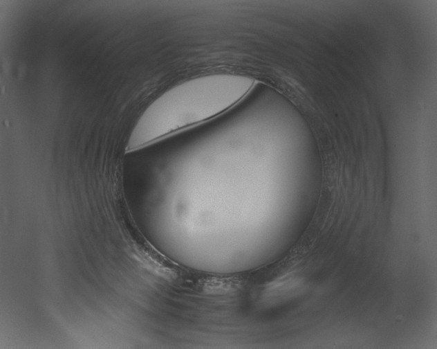 X0000053010077200507081032
