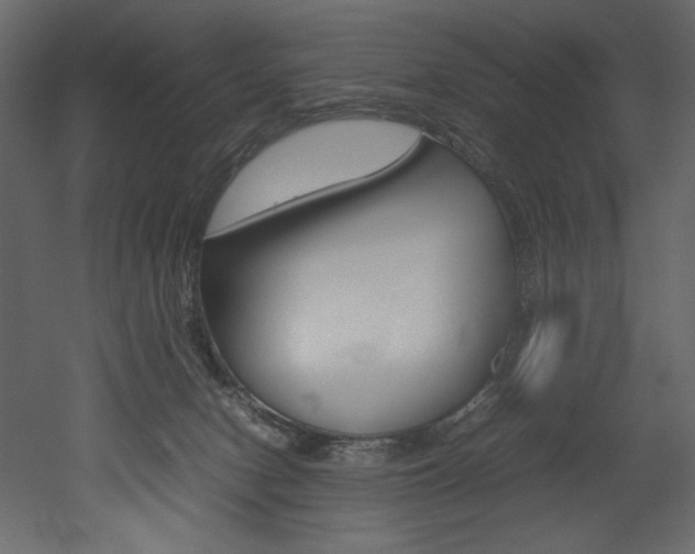 X0000053010078200507081032