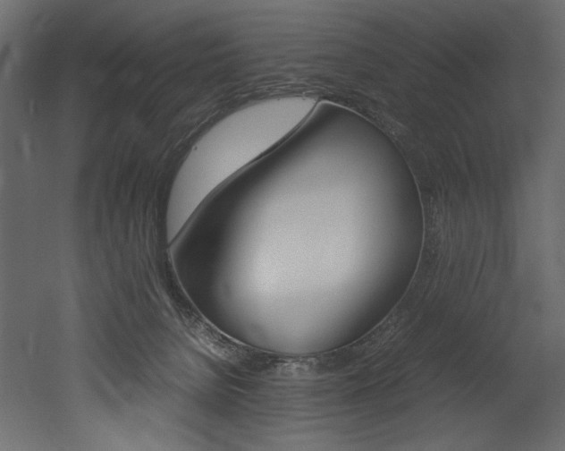 X0000053010080200507081032
