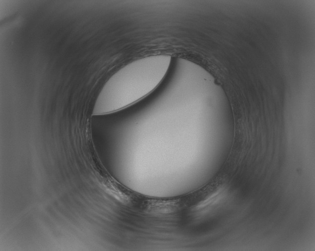 X0000053010081200507081032