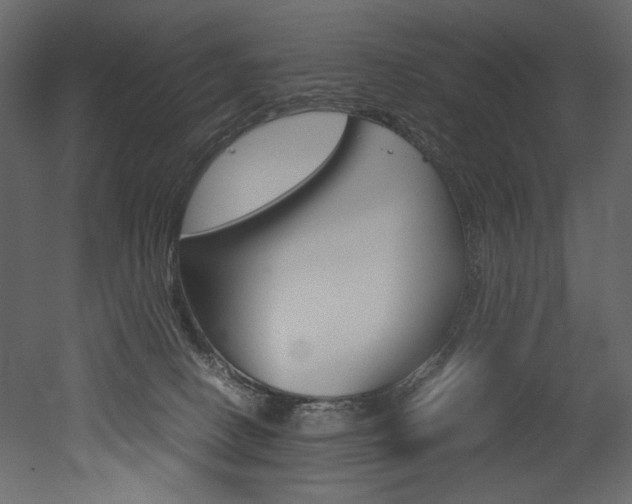 X0000053010082200507081032