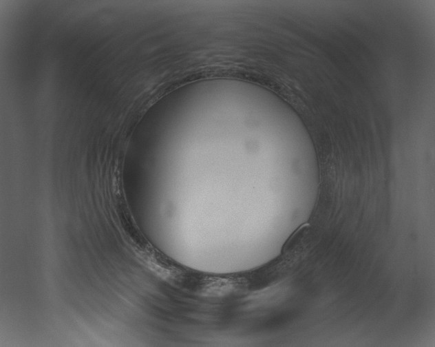 X0000053010083200507081032
