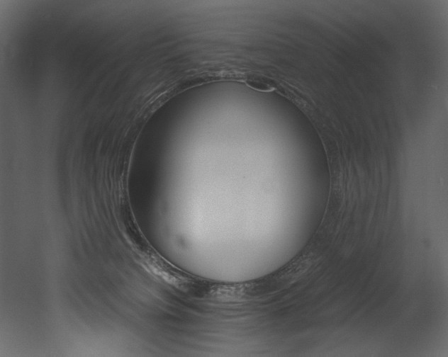X0000053010084200507081032