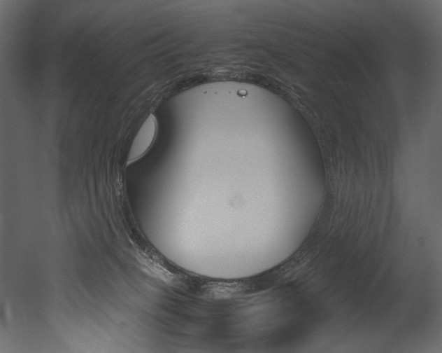 X0000053010085200507081032