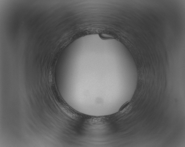 X0000053010086200507081032