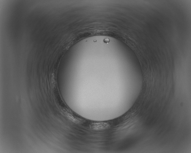 X0000053010087200507081032