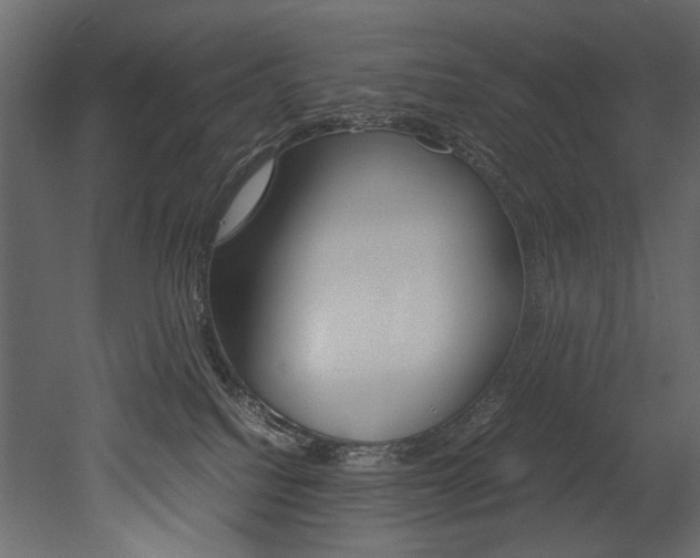 X0000053010088200507081032