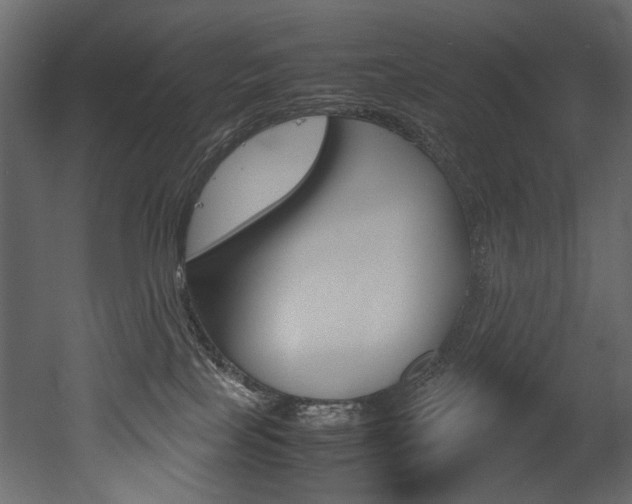 X0000053010089200507081032